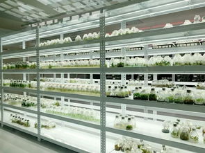 臺灣 五天從高雄到臺北tips 打卡明星夜市 潮人圣地