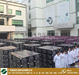 上?；瘖y品oem 集尚生物化妝品oem 化妝品oem代加工